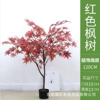 XU0612757